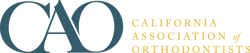 CAO Logo_Trans
